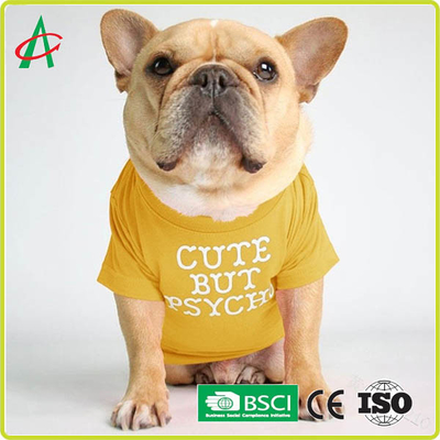 Roupa de pouco peso respirável do animal de estimação do inverno de SNAS